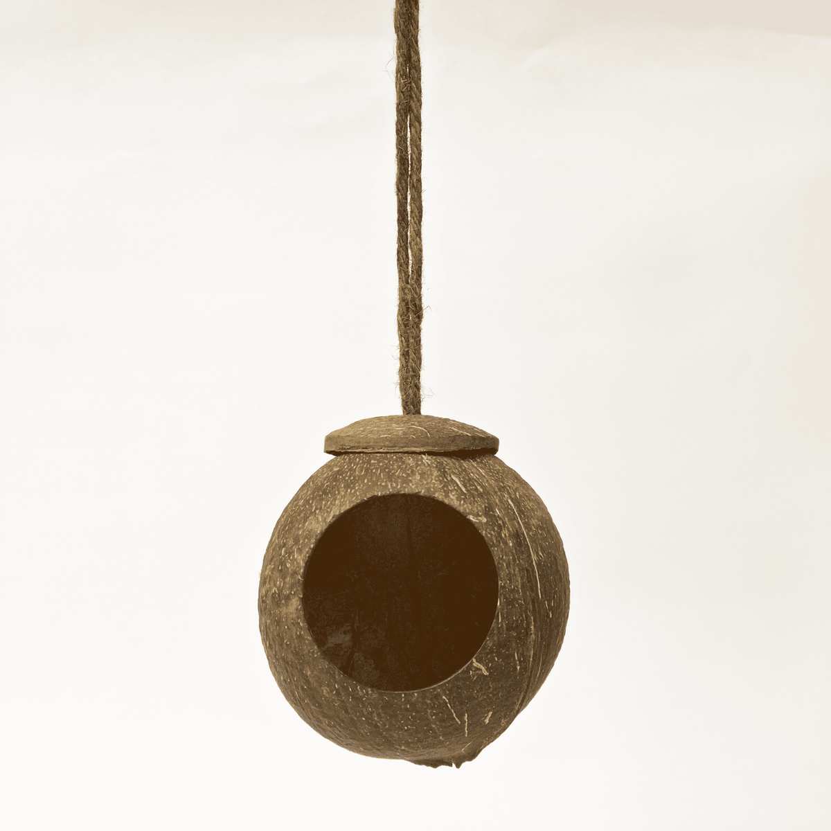 Bird Feeder