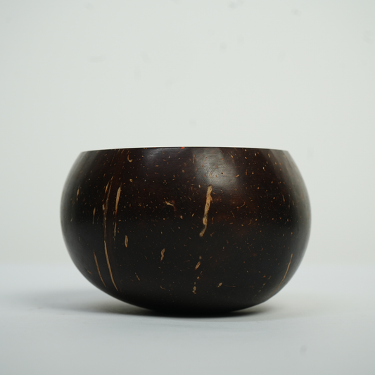 Coconut Shell Bowl - Shiny