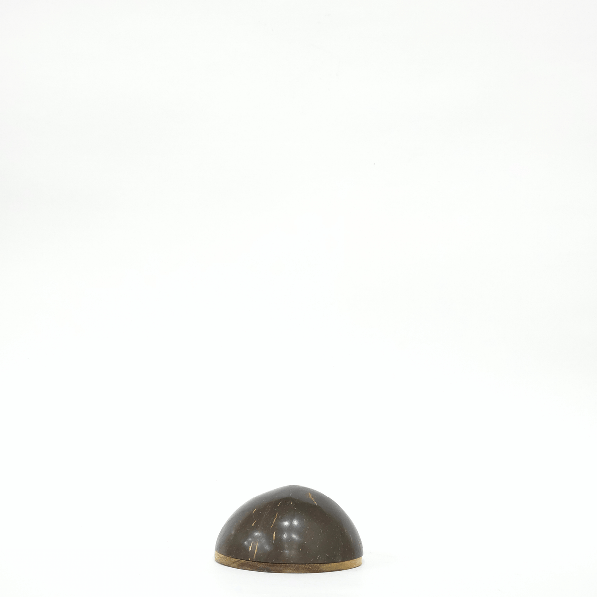 Coconut Shell shaker