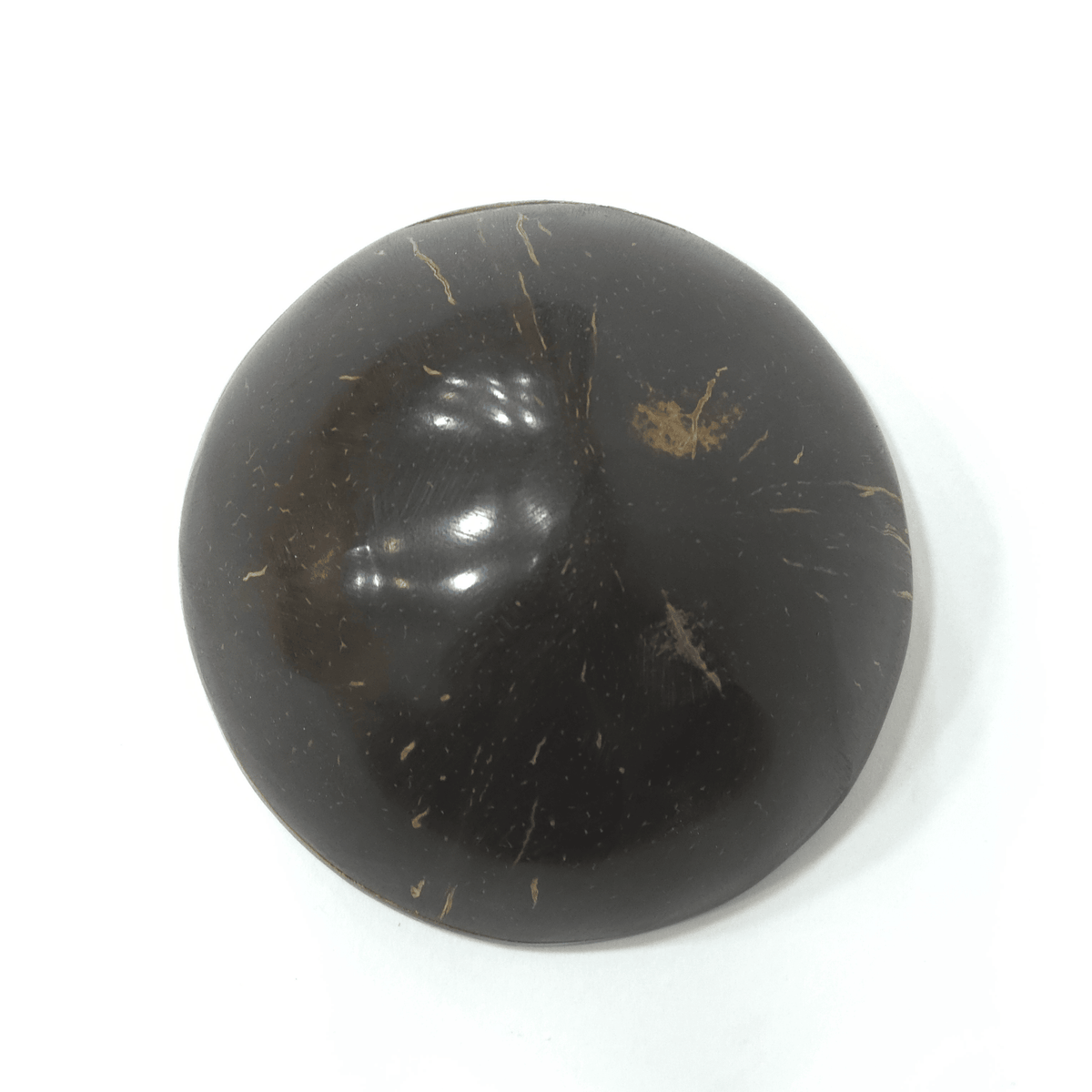 Coconut Shell shaker
