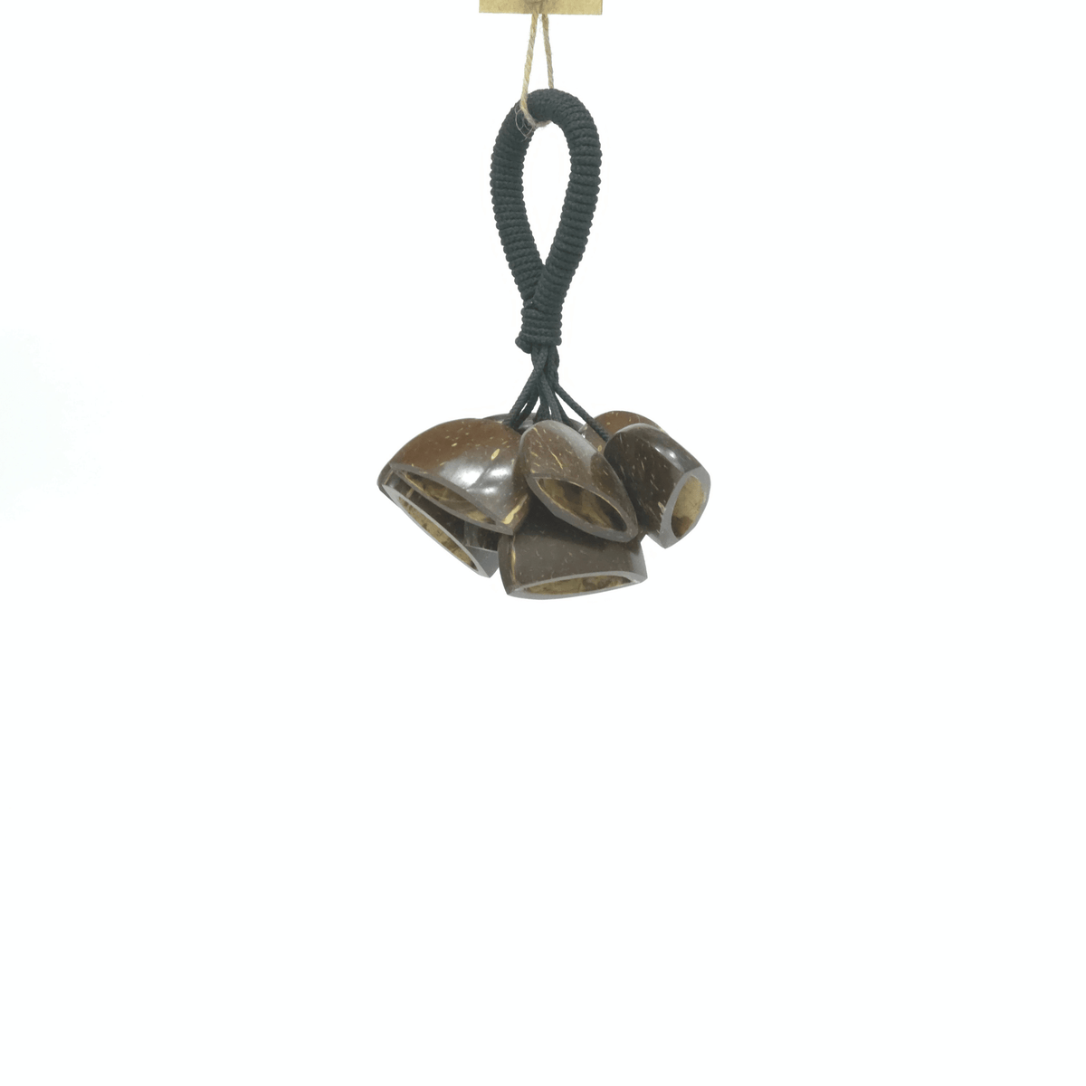 Sea Rattle - Cocount Shell