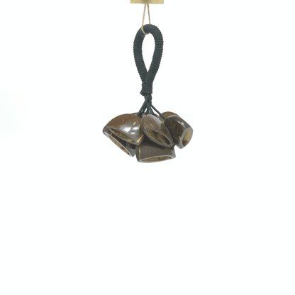 Sea Rattle - Cocount Shell