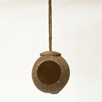 Bird Feeder