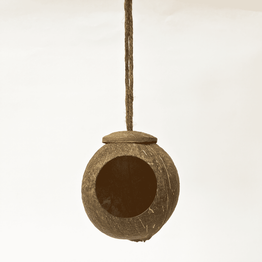 Bird Feeder