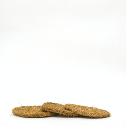 Scrub Pad Circle (Pack of 3)