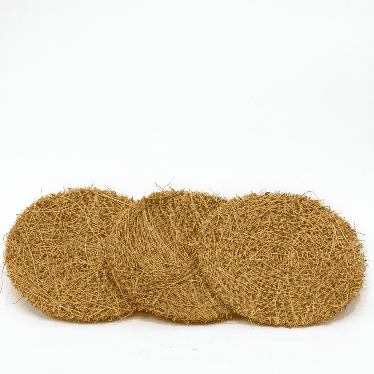 Scrub Pad Circle (Pack of 3)