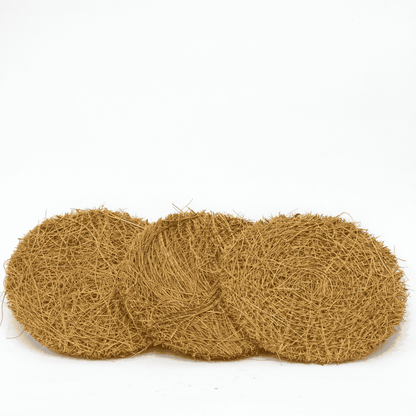 Scrub Pad Circle (Pack of 3)