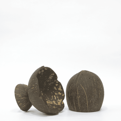 Dhoop Holder set