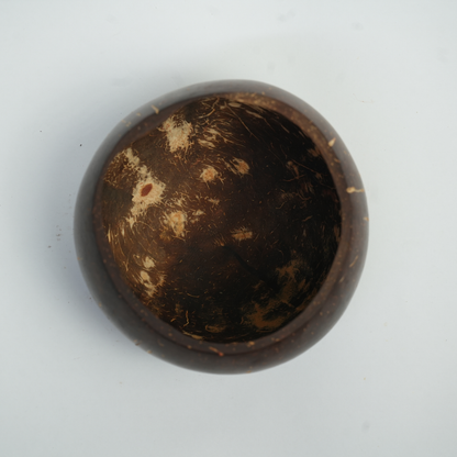 Coconut Shell Bowl - Shiny
