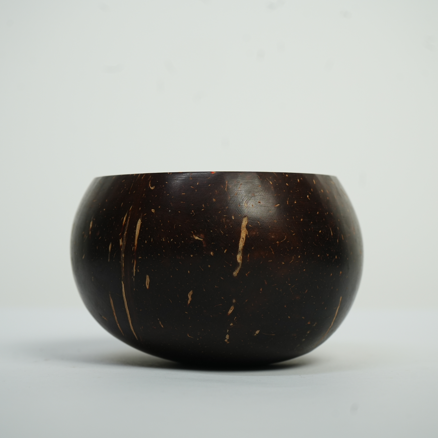 Coconut Shell Bowl - Shiny