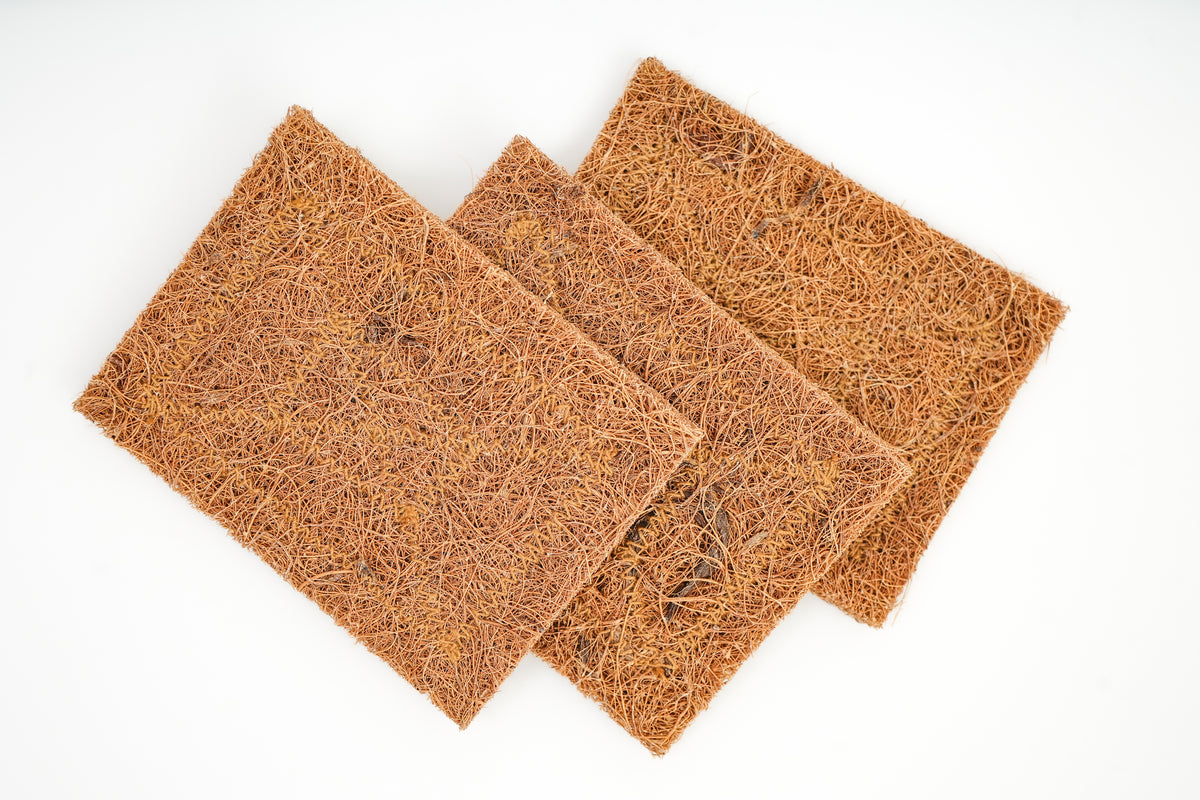 Scrub Pad - Set of 3