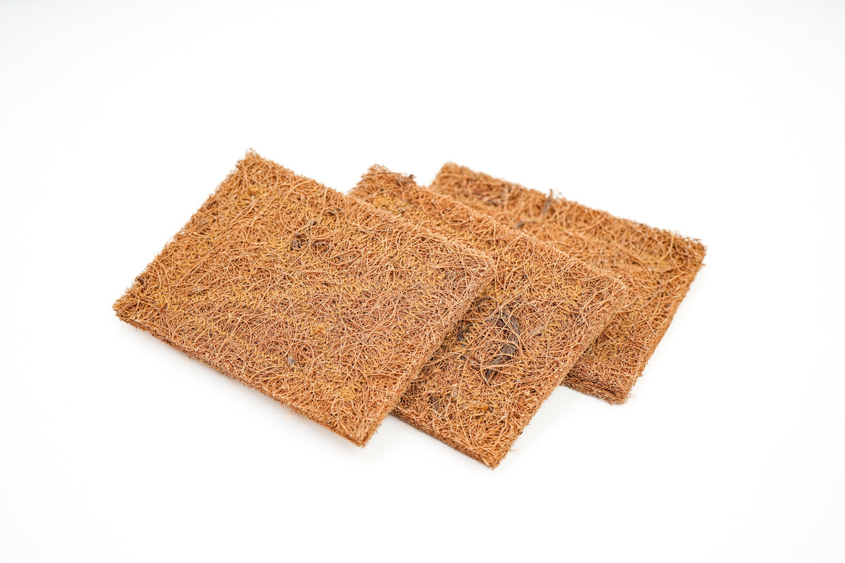 Scrub Pad - Set of 3