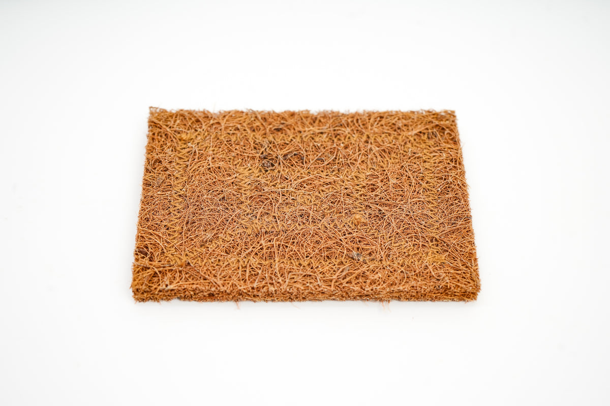 Scrub Pad - Set of 3