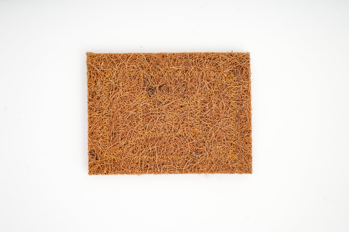 Scrub Pad - Set of 3