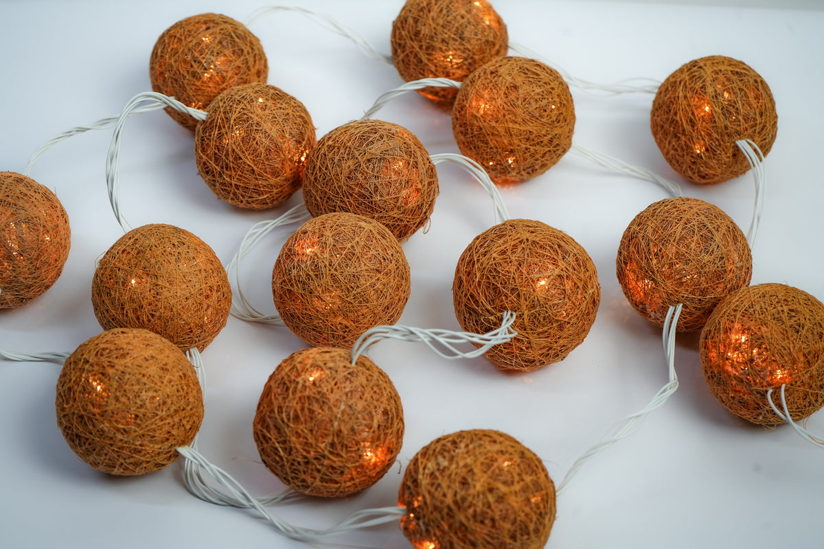 Coconut Serial Lights