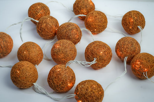 Coconut Serial Lights